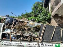 Junk Removal for Events in Edwardsburg, MI