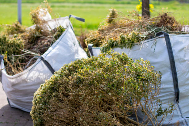 Same-Day Junk Removal Services in Edwardsburg, MI